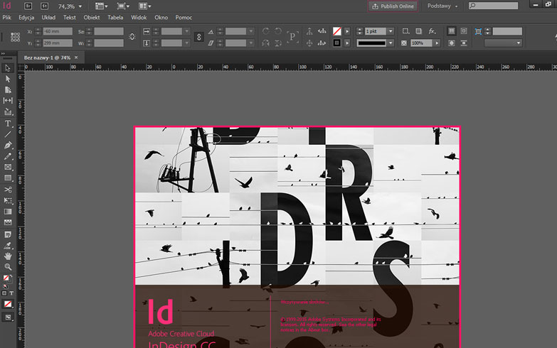 Adobe Indesign Screen