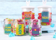 User Interface Design